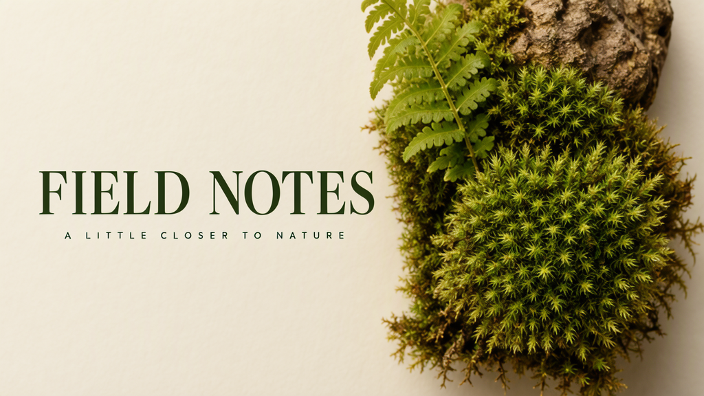 Field notes, made for a wide cover